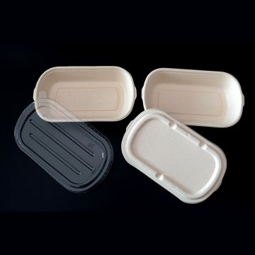 Clamshell Containers 500ML Box | Sustainable Food Container Supplier